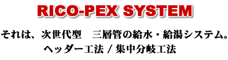 RICO-PEX SYSTEMB́A^@Owǂ̋EVXeBwb_[H@ / WH@